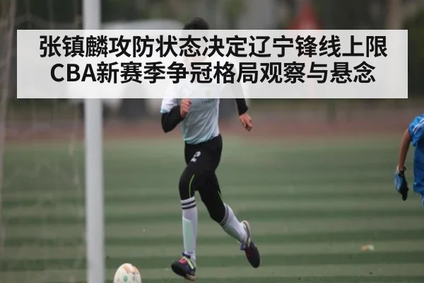张镇麟攻防状态决定辽宁锋线上限 CBA新赛季争冠格局观察与悬念 | JRS